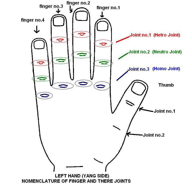 Neutro point & Neuto point on the joint