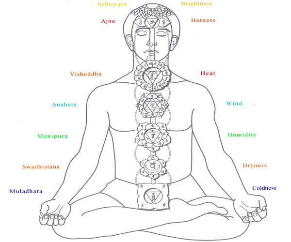 human body through 7 Chakras and 72,000 Nadis