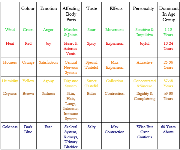 the relation of each energy with various body structures: 5 Elements